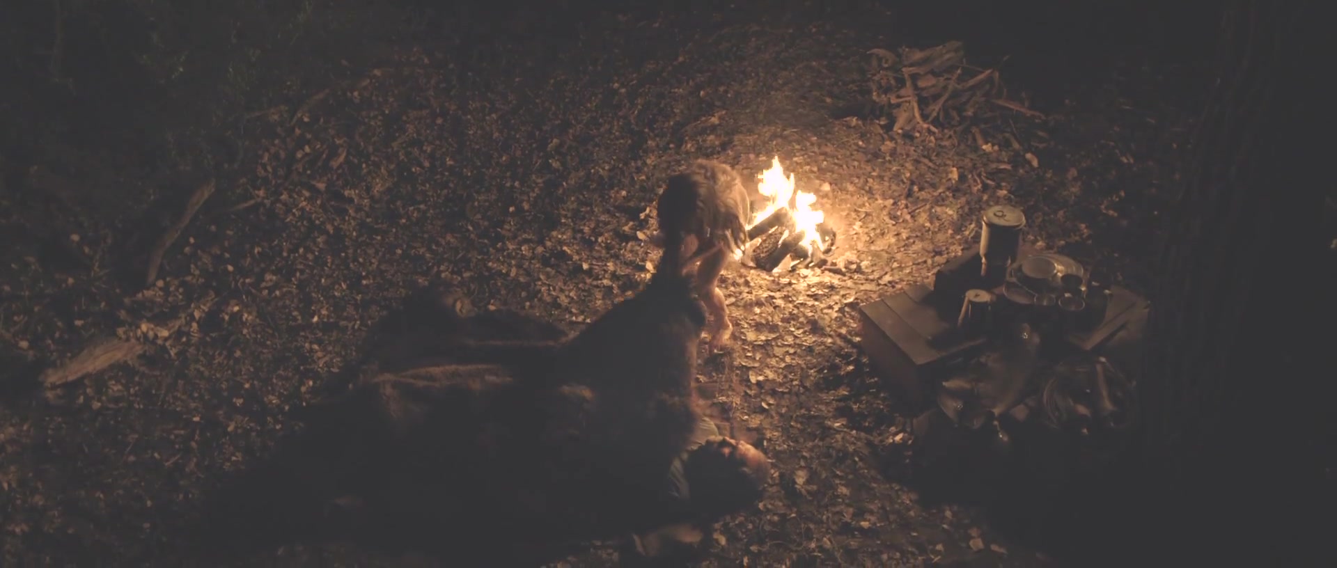 The Homesman (2014) Nude & Sex Scenes – Hilary Swank, Miranda Otto, Sonja Richter | Movie Star NSFW Moments